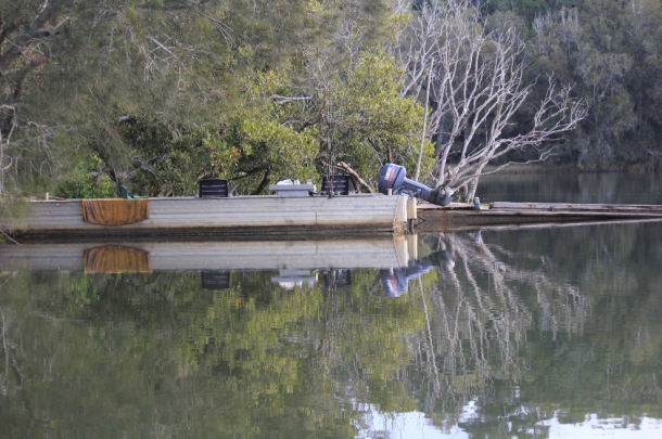 Illegal netter nabbed on South Coast